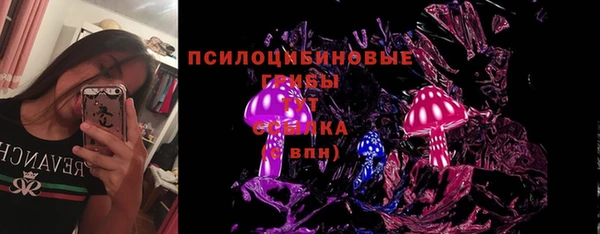PSILOCYBIN Бородино