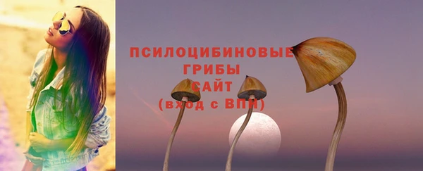 кокаин перу Богданович